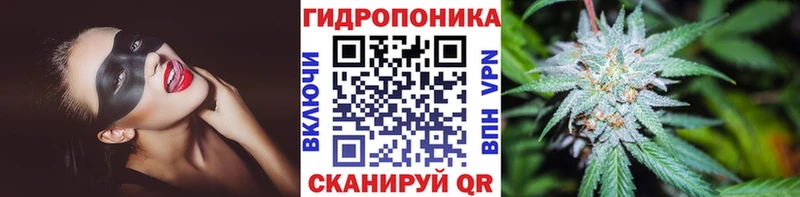 Виды наркоты Новохопёрск Гашиш Alpha-PVP Меф Каннабис КОКАИН