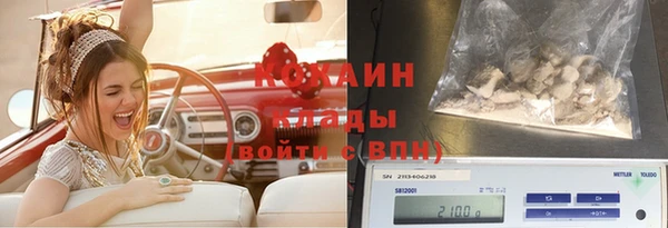 apvp Бугульма