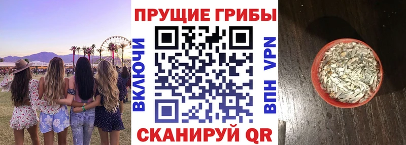 Псилоцибиновые грибы Magic Shrooms  Новохопёрск 